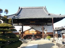 P1060226.JPG